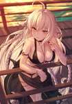【FGO】潮風にあたりながら黄昏る祭装邪ンヌ！！　美しいです/////のサムネイル画像