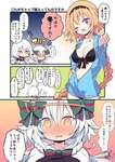 【FGO】気遣ってくれる次女に惚れてしまうサンタリリィ！！　あぁ＾～姉妹百合いいぞぉ＾～のサムネイル画像
