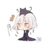 【FGO】猫を被る（物理）邪ンヌ！ｗ　「モチロンナカヨクヤッテルワヨ？」のサムネイル画像