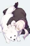 【FGO】黒王＆カヴァス二世！！　黒王かわよ！のサムネイル画像